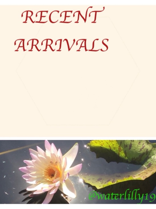 Other - Recent arrivals.